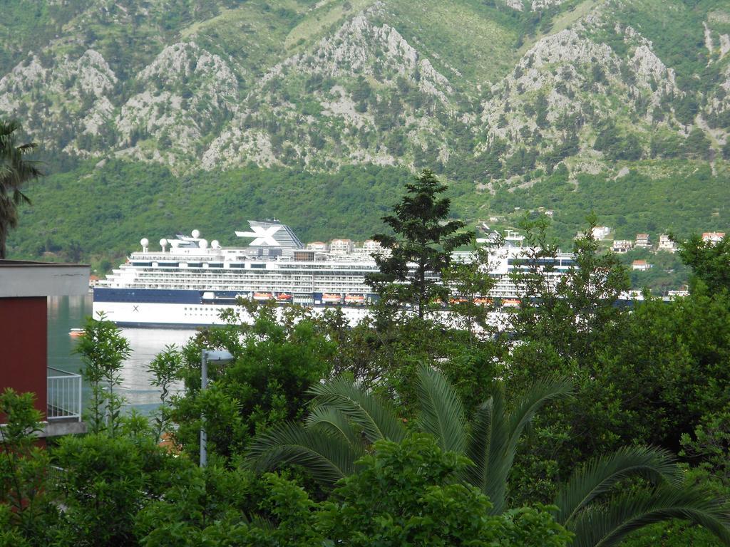 Apartments Samardzic Kotor Buitenkant foto