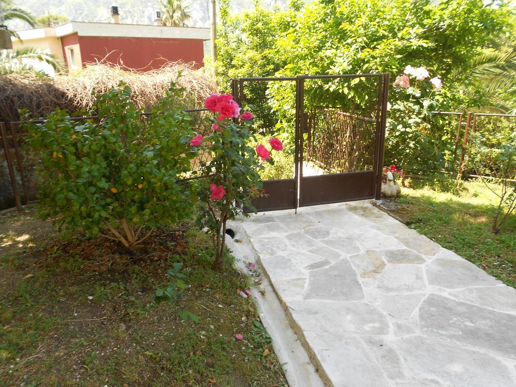 Apartments Samardzic Kotor Buitenkant foto